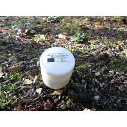 Yaourt vache - citron