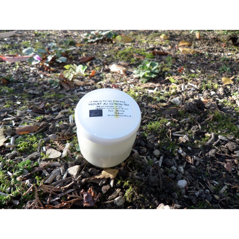 Yaourt vache - citron