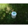 Chèvre-riz