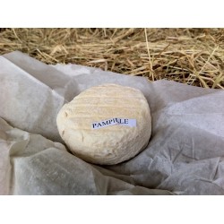 Pampille