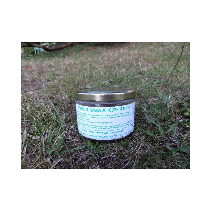 Terrine de canard au poivre vert