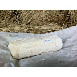 Bûche de chèvre