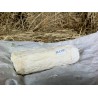 Bûche de chèvre