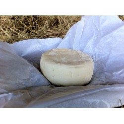 Petit Primbert frais