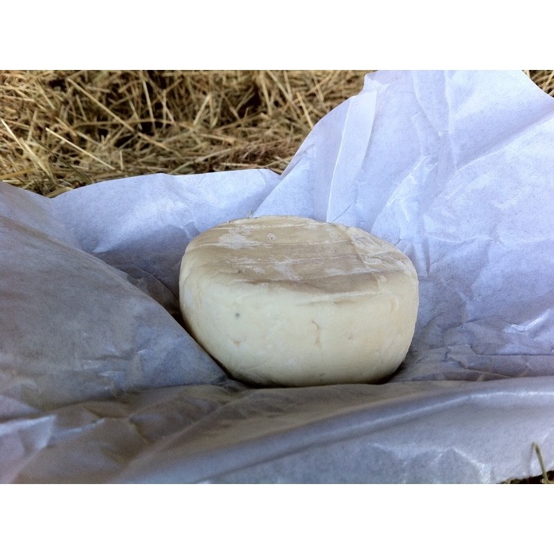 Petit Primbert frais