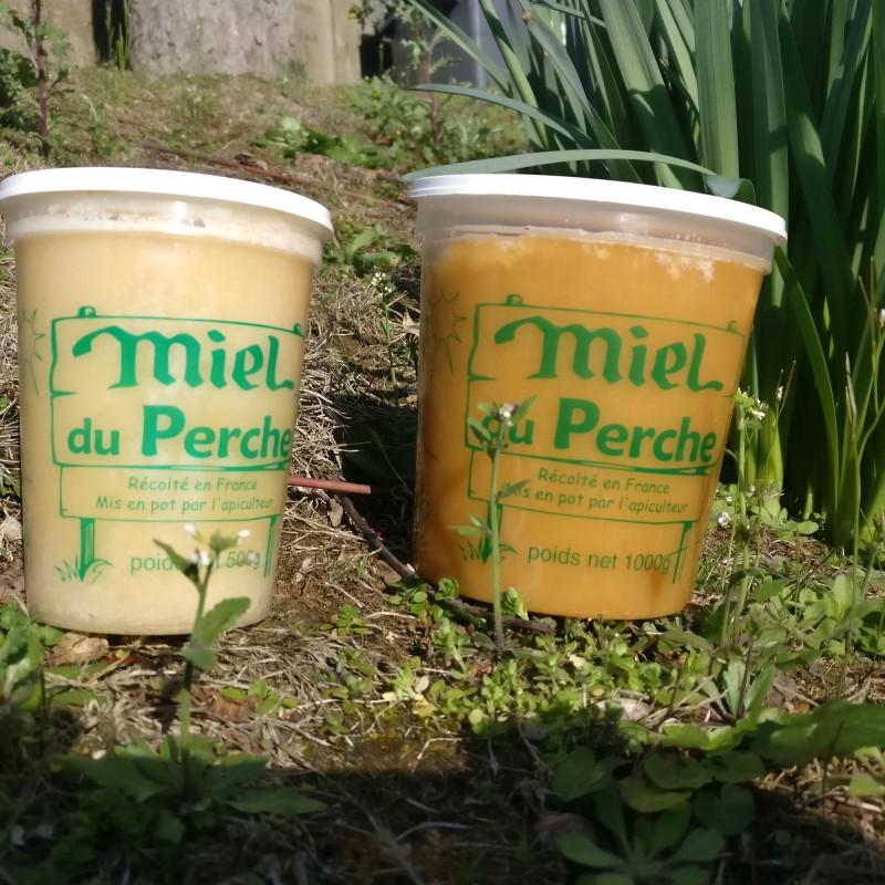 Miel de Printemps toutes fleurs