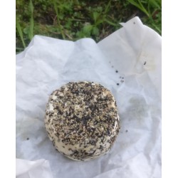Crottin chèvre enrobé poivre