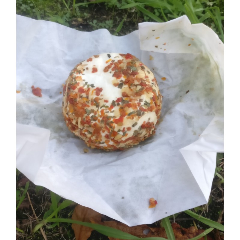 Crottin chèvre brushetta