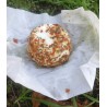 Crottin chèvre brushetta
