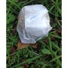 Crottin chèvre brushetta