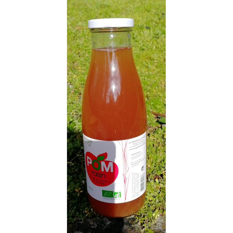 Jus de pomme gingembre