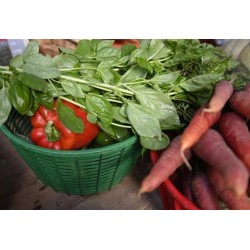 Panier de saison du maraicher