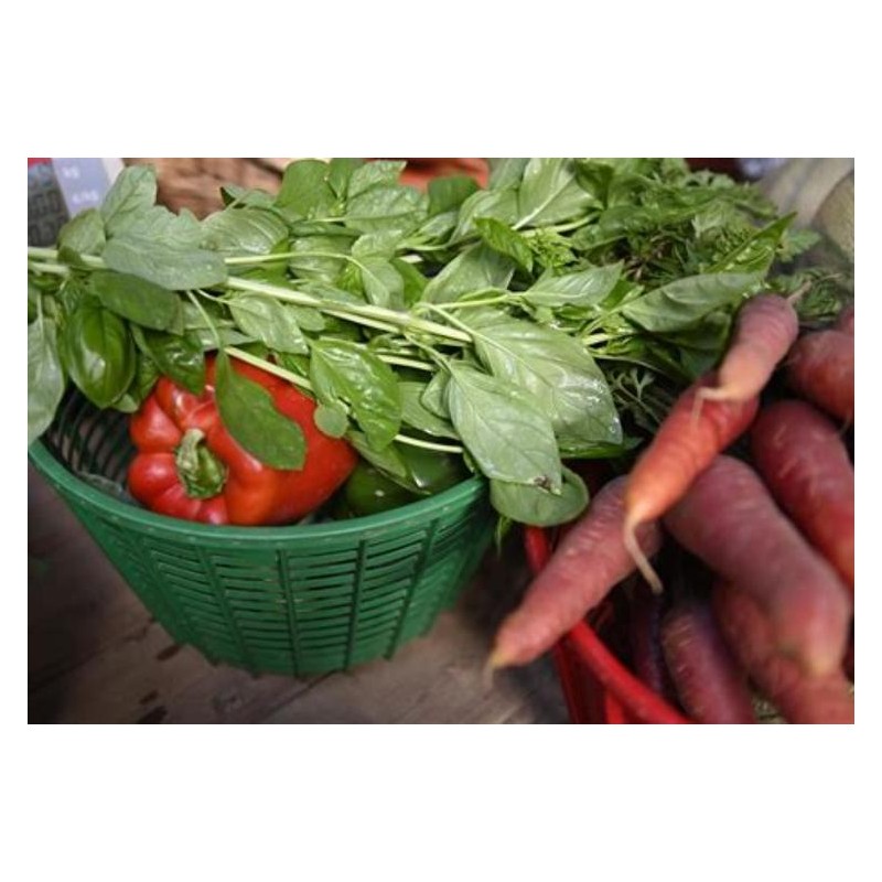 Panier de saison du maraicher