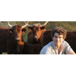 Rillette de boeuf du Perche