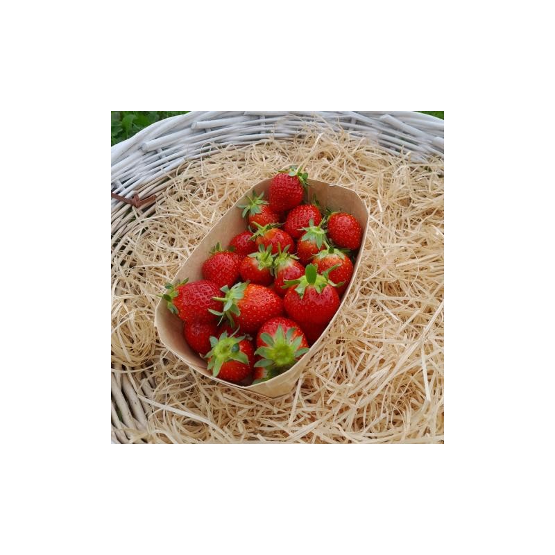 Fraises