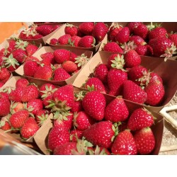 Confiture de fraise