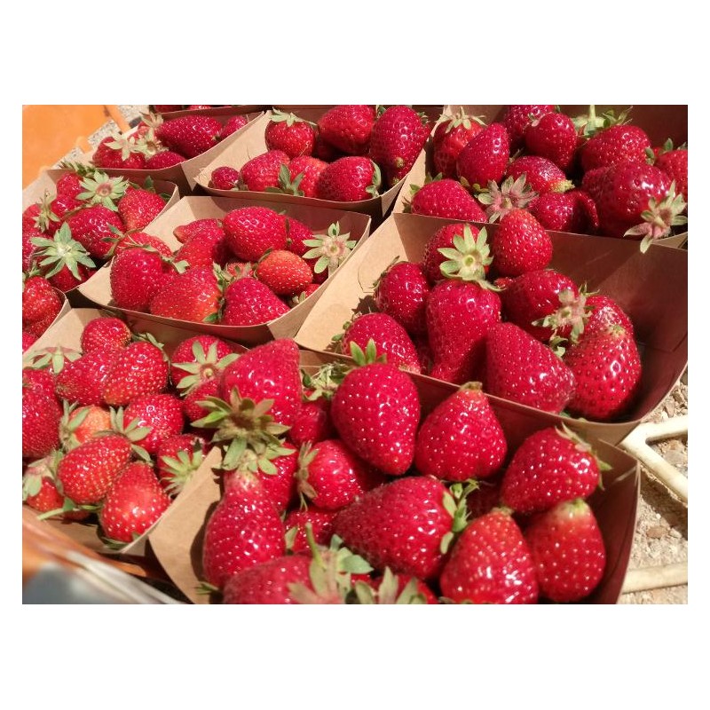 Confiture de fraise