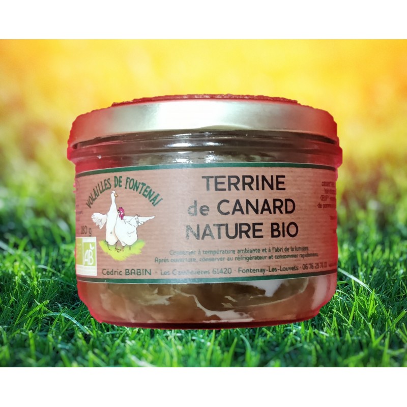 Terrine de canard nature