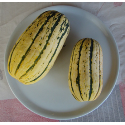 Courges Délicata