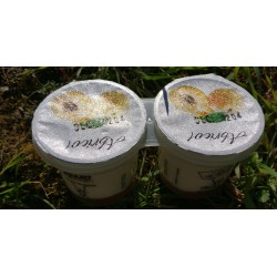 Yaourt brebis abricot (x2)