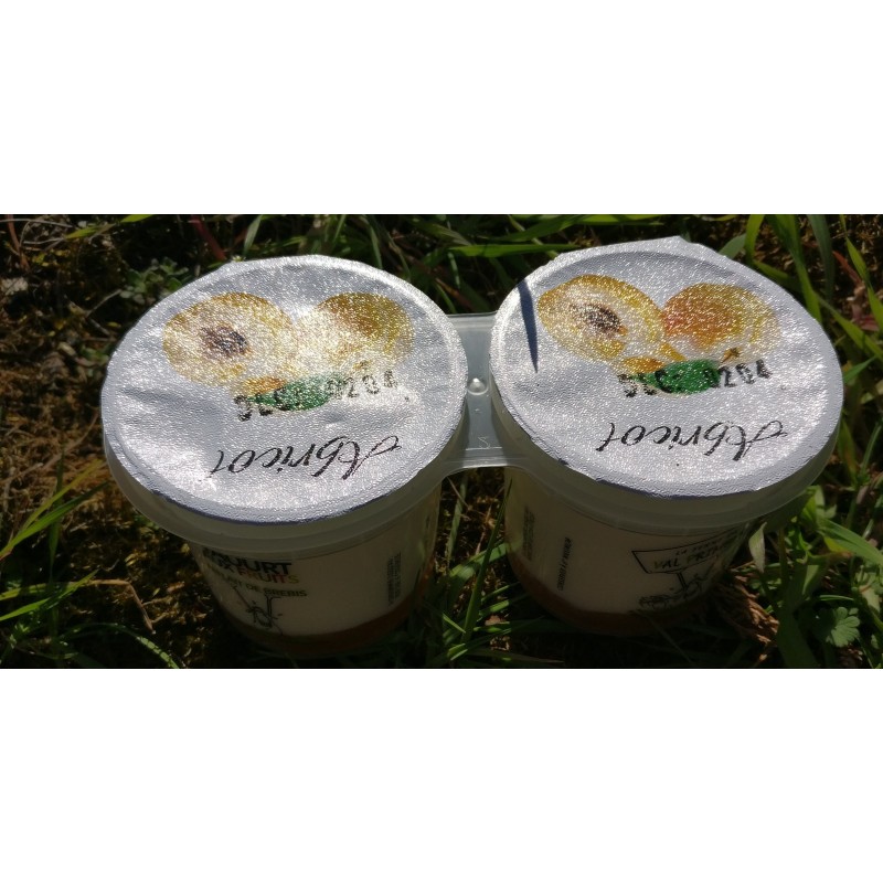 Yaourt brebis abricot (x2)