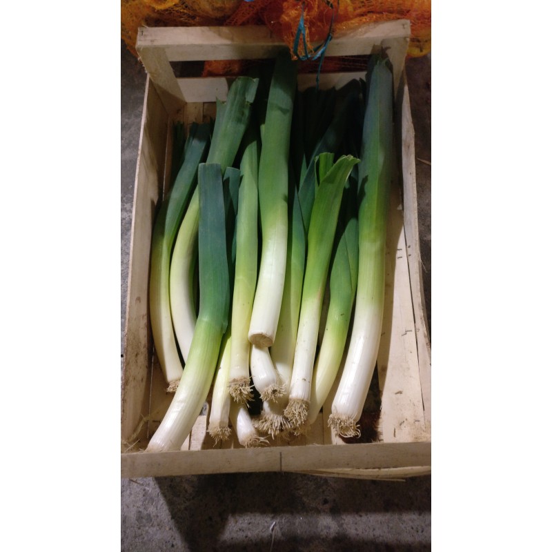 Poireaux en filet