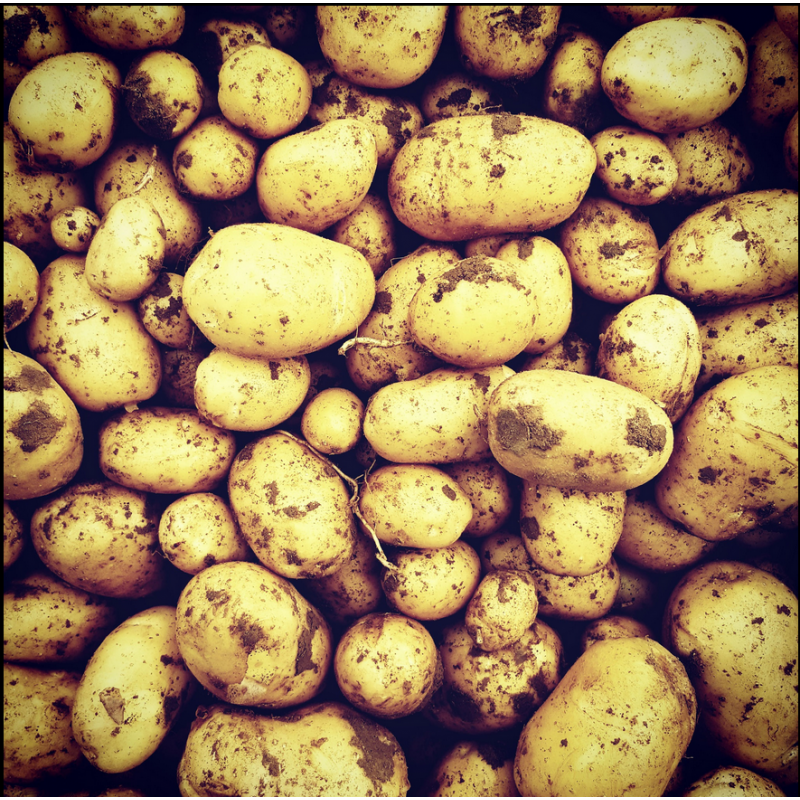 Pommes de terre