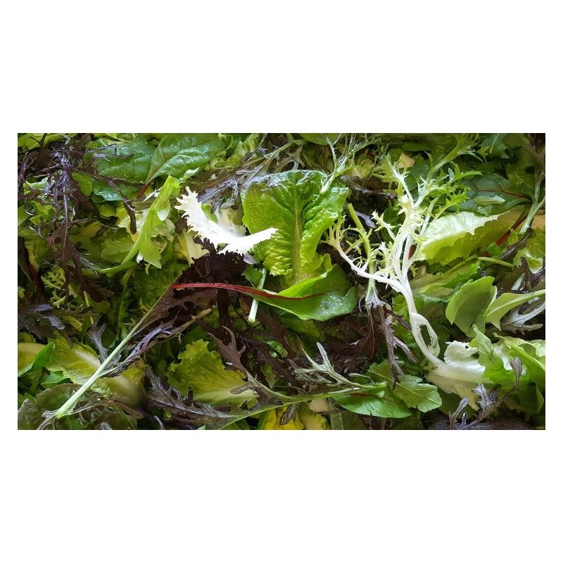 Mesclun