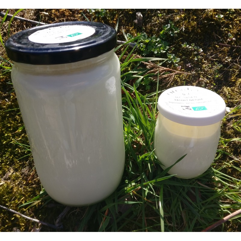 Yaourt vache - nature