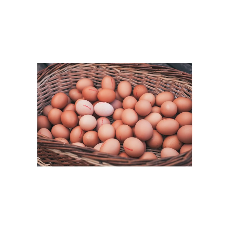 Oeufs en vrac