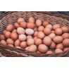 Oeufs en vrac