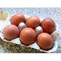 Oeufs en vrac