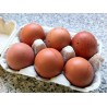 Oeufs en vrac