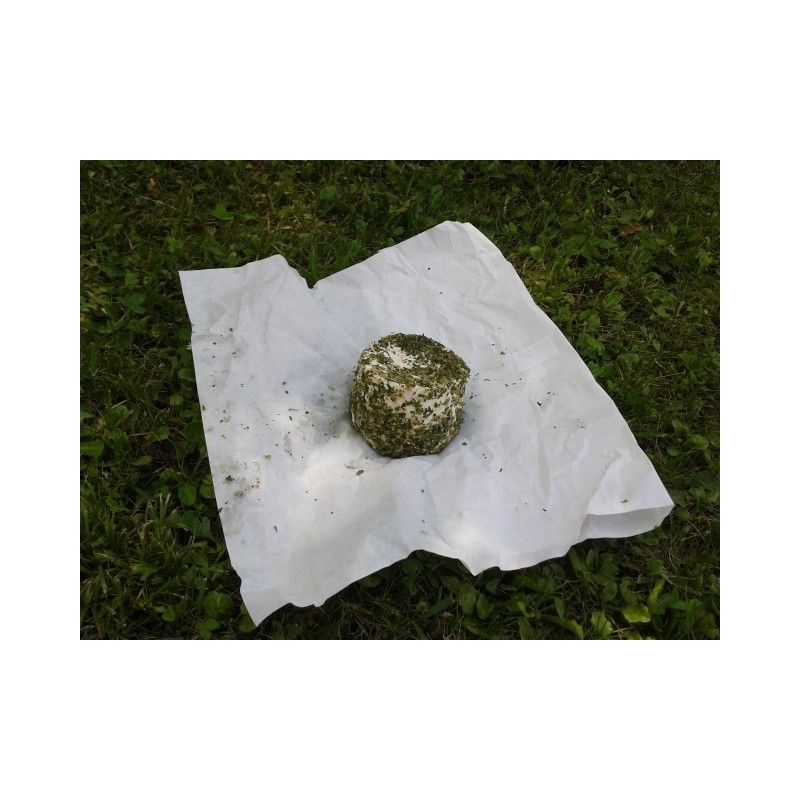 Crottin chèvre ail et fines herbes