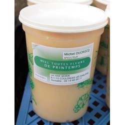 Miel de Printemps toutes fleurs